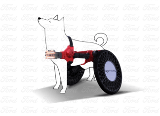 Ford P-Raptor: un vehículo pensado para las mascotas con movilidad limitada ford