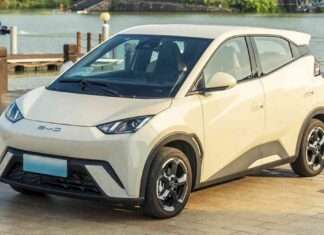 BYD Dolphin Mini llegó a Chile y se propaga por América Latina