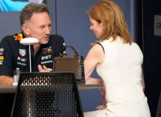 HORNER RECLAMA QUE TERMINE EL ACOSO SOBRE SU FAMILIA
