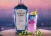 Destilería Don Michael lanza Andean Gin Arándanos