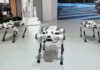 Conoce a Dorry: el innovador perro robot de Chery