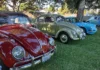 California: Nor Cal VW & Porsche Vintage Treffen, lo mejor de los autos clásicos