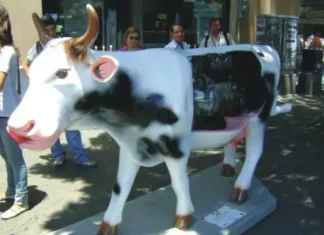 Una insólita vaca con motor de Vocho, la Milk Machine