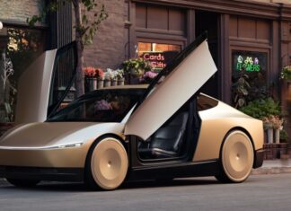 El Tesla Robotaxi tiene un enorme problema