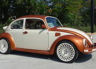 La historia de Canelo: la transformación de un clásico