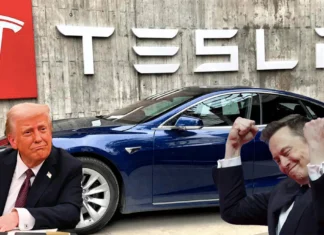 Ventas de Tesla se desploman en Europa y China