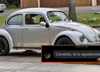 Vocho vuelve loco a su dueño: «Llévatelo, te lo agradeceré»