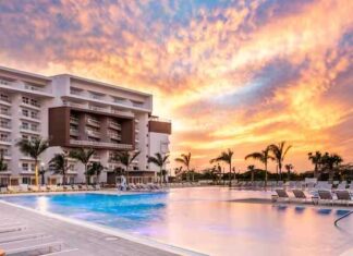 Celebra a mamá con estas propuestas únicas