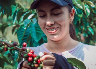 Escapada a la Selva Central y la Ruta del Café