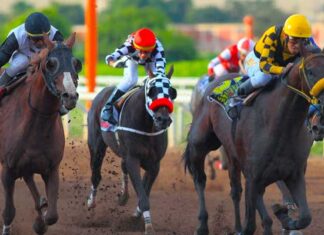 Jockey Fest 2025: El festival que une caballos, música y tradición