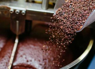 Chocolates y los desafíos sostenibles de la industria del cacao