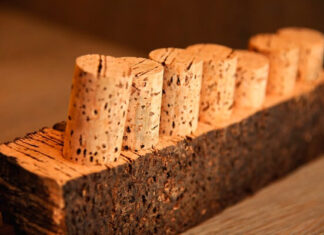 La historia del corcho: el guardian silencioso del vino