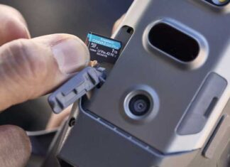 Kingston celebra el Día de la Fotografía