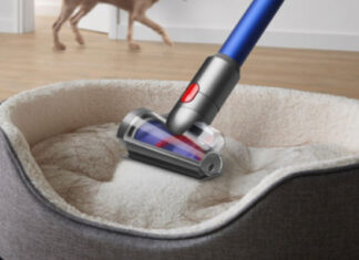 Adopta sin miedo: aprende cómo manejar el pelo de las mascotas en casa