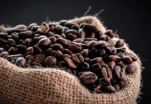 El mejor café del Perú es de Cajamarca: Taza de Excelencia Perú 2025