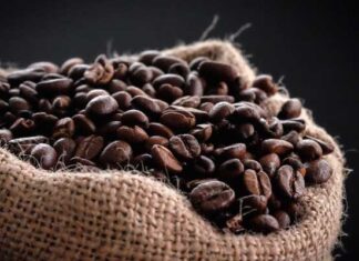 El mejor café del Perú es de Cajamarca: Taza de Excelencia Perú 2025