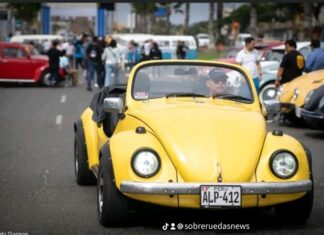 Historia del Día Internacional del Vochero