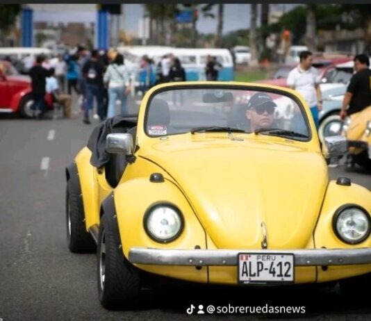 Historia del Día Internacional del Vochero