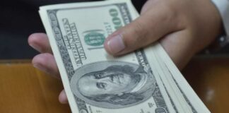 Dólar en Perú: ¿cómo evolucionó el tipo de cambio en los primeros días de febrero?