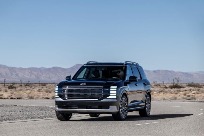 2026PalisadeHybridCalligraphy-1-1068x712