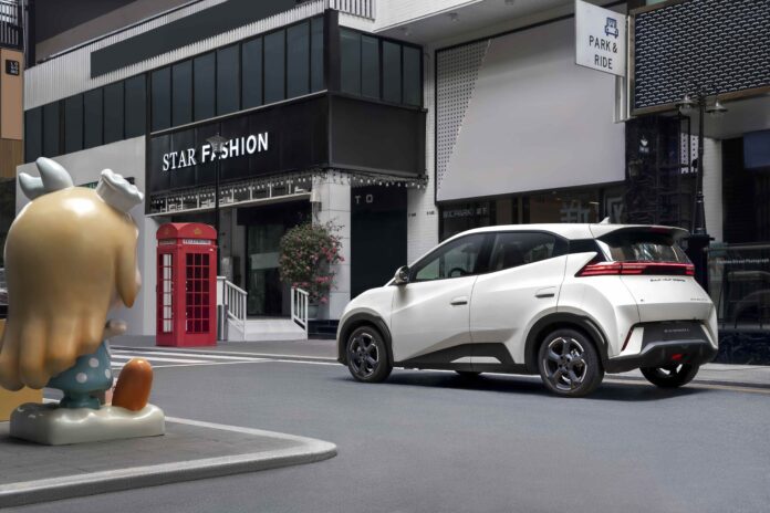 Seagull lifestyle-ciudad